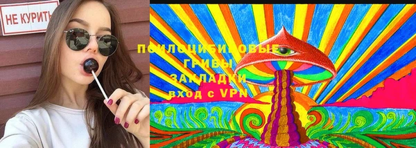 гашик Зеленодольск