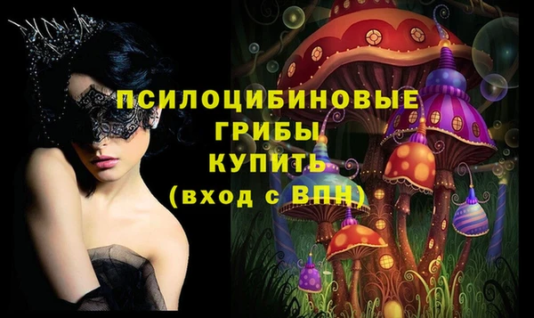 гашик Зеленодольск