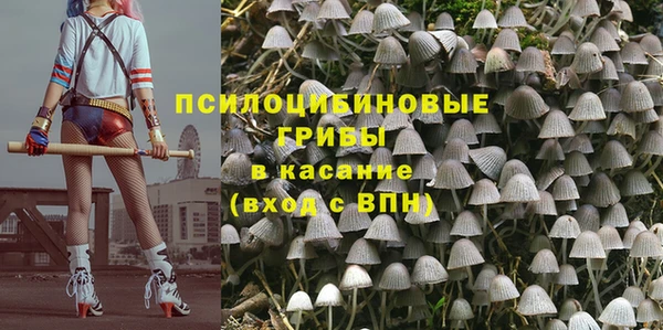 хмурый Зеленокумск