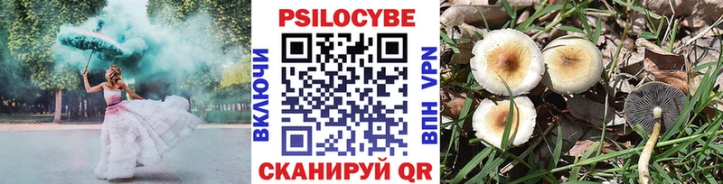 Галлюциногенные грибы ЛСД  Купить где  Чулым 